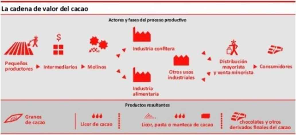 Cadena de valor del cacao